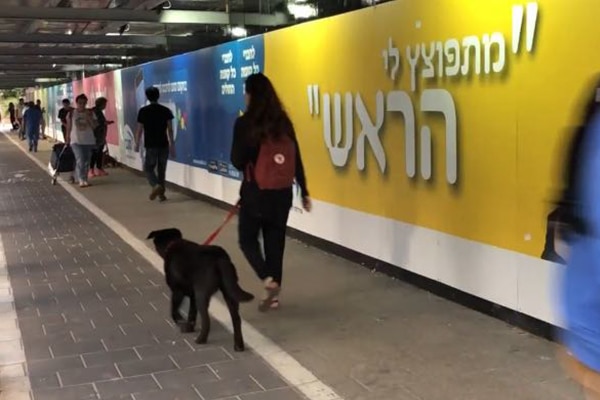 השלט - גדר מדברת קופת חולים מכבי 6