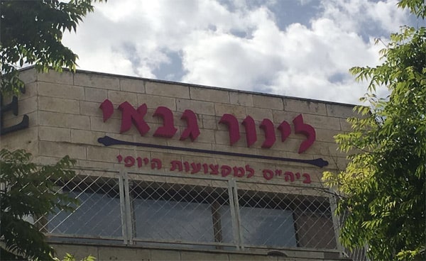 השלט - לינור גבאי