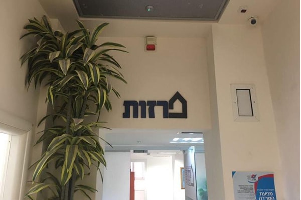 השלט - פרזות 1