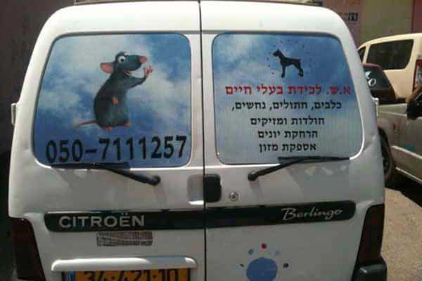 השלט - שלטים על חלונות הרכב