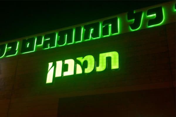 השלט - תמנון 13